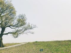 -南北湖风景区