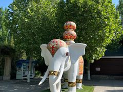 -永定河休闲森林公园