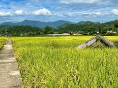 -福建土楼（华安）旅游区•大地土楼群
