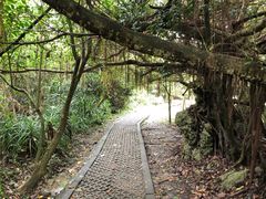 -鹅銮鼻公园