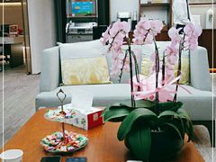 -招商银行(深圳罗湖支行)