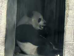 -成都动物园
