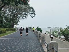 -深圳湾公园(南山区)
