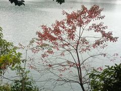 -广州市白云山风景名胜区