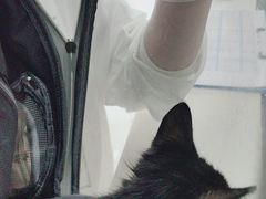 -艾贝尔宠物医院·24H转诊中心·肿瘤猫专科(江宁双龙店)