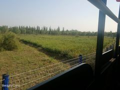 -西青郊野公园