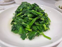 酒香豆苗-老吉士酒家(天平路店)