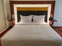 -郑州美豪诺富特会展中心酒店