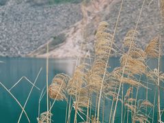 -树山生态村