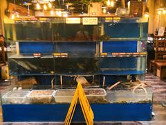 -小俩口烧烤东北菜(双井店)