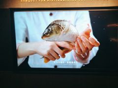 -阿五黄河大鲤鱼(英协路店)