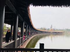 -枫香湖儿童公园