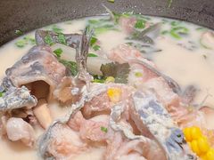 -鲜潭蒸汽石锅鱼(五道口购物中心店)