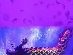 -沈阳海洋探索中心