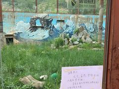 -青藏高原野生动物园