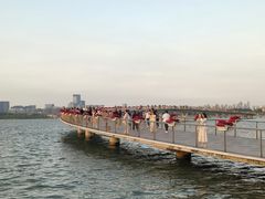 -金鸡湖景区