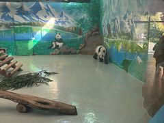 -柳州市动物园