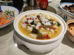 -邵年鸽(杨庄店)