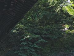 -达蓬山旅游度假区