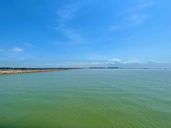 -大湾区中央湿地公园