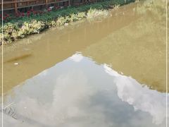 -参仙谷生态旅游度假区