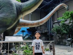 -国家自然博物馆