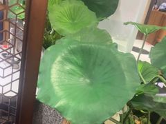 -新辣道鱼火锅(上地华联店)