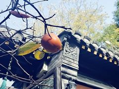 -四喜小胖·北京涮肉(五道营店)