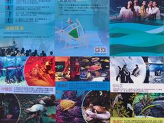 -上海海洋水族馆