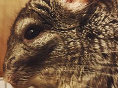 -四海游龙(大华店)