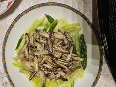-新光酒家·河豚·海鲜·蟹料理(浦东店)
