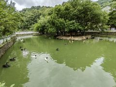 -黔灵山公园