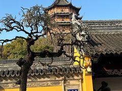 -北寺塔