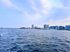 -五缘湾游艇帆船俱乐部