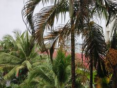 -Let's Relax Spa(Phuket 3rd Street)