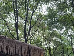 -草根堂农场