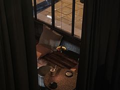-毛辣果·酸