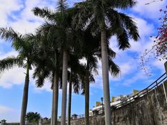 景点-石炮台公园