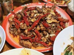 -柴窝堡22号辣子鸡·传承新疆菜