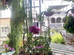 -自然餐厅(Phuket)
