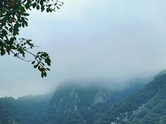 -秦岭终南山世界地质公园翠华山景区