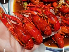 -杨氏青龙虾·羊蝎子(托乐嘉店)