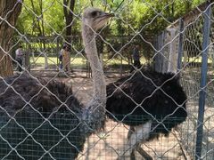 -长白岛森林公园