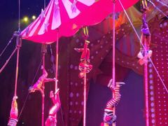 -珠海横琴长隆《卡卡虎奇遇记》