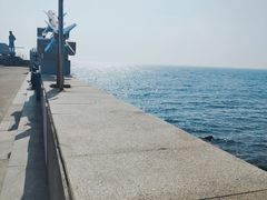 -中华人民共和国水准零点