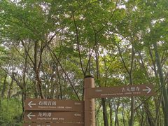 -南京市无想山景区