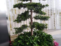 -首开·龙湖成都西宸天街
