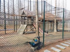-黄海国家森林公园