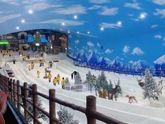 -世界之窗阿尔卑斯冰雪世界