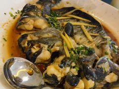 -生态苑农庄(十里画廊遇龙河店)